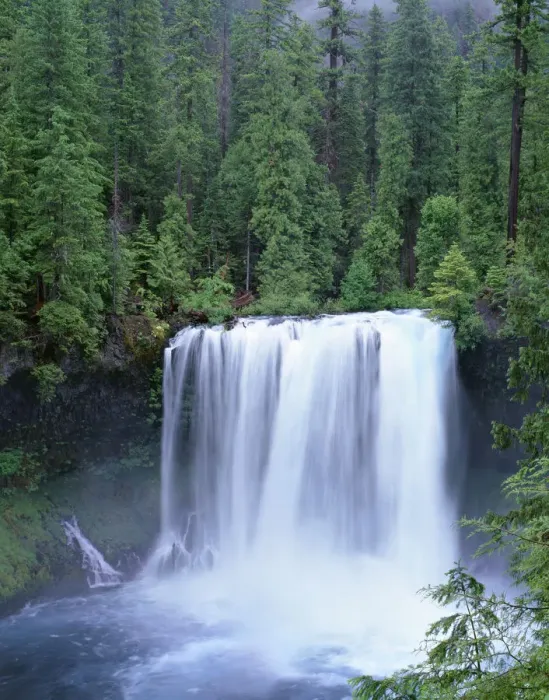 Framed Print : USA, Oregon. Willamette National Forest, McKenzie River plummets over Koosah Falls in spring