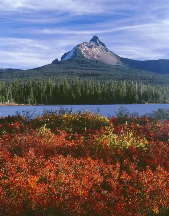 Framed Print : USA, Oregon. Willamette National Forest, Mount Washington rises beyond autumn-colored huckleberry Framed Print : USA, Oregon. Willamette National Forest, Mount Washington rises beyond autumn-colored huckleberry