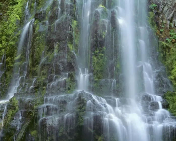 Framed Print : USA, Oregon. Willamette National Forest, Three Sisters Wilderness, Lower Proxy Falls and lush moss