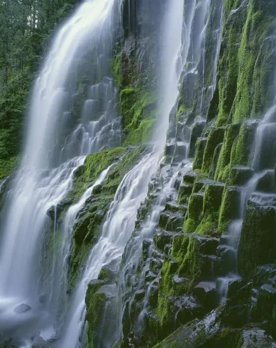 Framed Print : USA, Oregon. Willamette National Forest, Three Sisters Wilderness, Lower Proxy Falls Framed Print : USA, Oregon. Willamette National Forest, Three Sisters Wilderness, Lower Proxy Falls