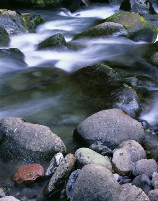 Framed Print : USA, Oregon, Willamette National Forest. Three Sisters Wilderness, French Pete Creek