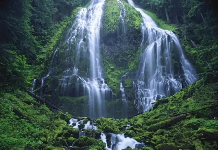Framed Print : USA, Oregon, Willamette National Forest. View of the Lower Proxy Falls Framed Print : USA, Oregon, Willamette National Forest. View of the Lower Proxy Falls