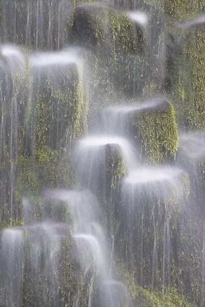 USA, Oregon, Willamette National Forest. Close-up view of Proxy Falls water cascading