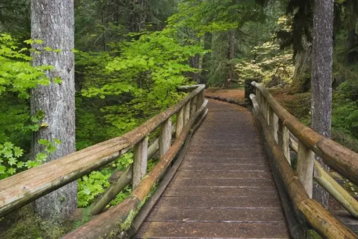 Framed Print : USA, Oregon, Willamette National Forest. Wooden foot bridge on the Sahalie Falls Trail Framed Print : USA, Oregon, Willamette National Forest. Wooden foot bridge on the Sahalie Falls Trail
