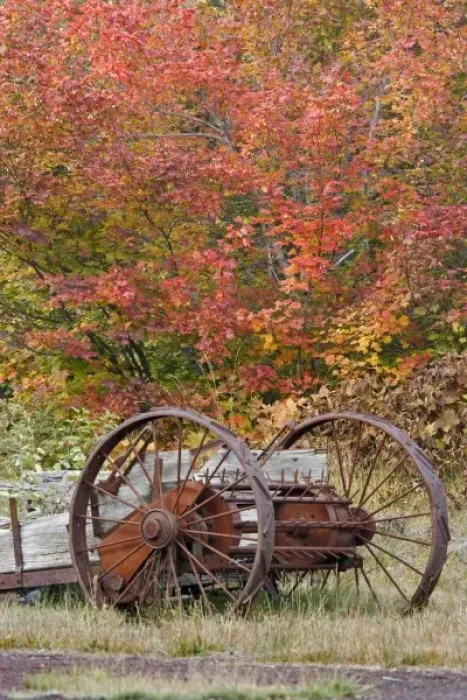 Framed Print : USA, Oregon, Willamette National Forest. Vintage farm equipment next to historic
