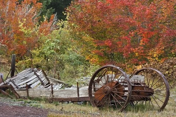 USA, Oregon, Willamette National Forest. Vintage farm equipment next to historic