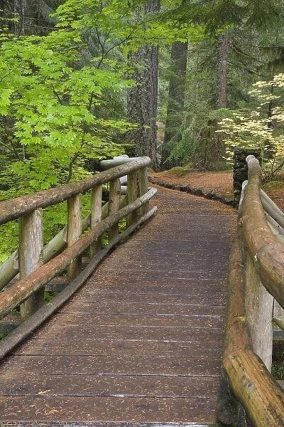 USA, Oregon, Willamette National Forest. Wooden foot bridge on the Sahalie Falls Trail