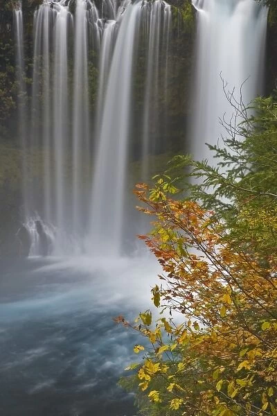 USA, Oregon, Willamette National Forest. Koosah Falls pour into McKenzie River
