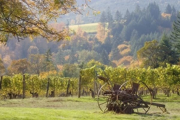 USA, Oregon, Willamette Valley. Vintage plow rusts next to Witness Tree Winery vineyards
