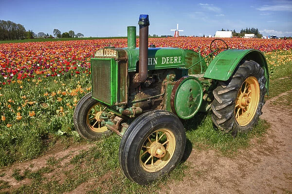 USA, Oregon, Woodburn, an Old John Deere sits in the tulip field at the Wooden Shoe