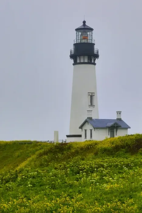 Framed Print : USA, Oregon. Yaquina Head Lighthouse on foggy day Framed Print : USA, Oregon. Yaquina Head Lighthouse on foggy day