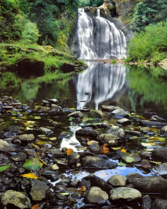 Framed Print : USA, Oregon, Youngs River Falls. Waterfall landscape Framed Print : USA, Oregon, Youngs River Falls. Waterfall landscape