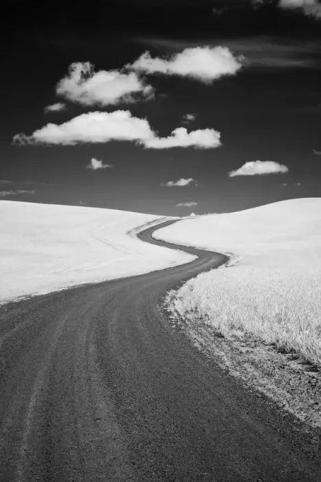 Framed Print : USA, Palouse Country, Washington State, Infrared Palouse fields and backroad Framed Print : USA, Palouse Country, Washington State, Infrared Palouse fields and backroad