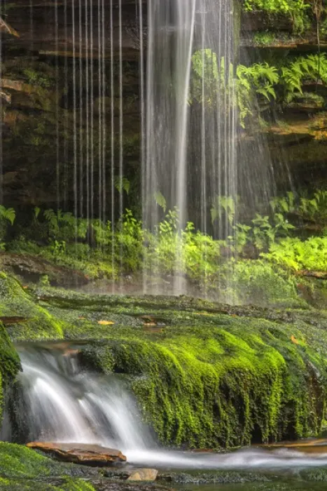 Framed Print : USA, Pennsylvania, Benton. Delicate waterfall in Ricketts Glen State Park. Credit as Framed Print : USA, Pennsylvania, Benton. Delicate waterfall in Ricketts Glen State Park. Credit as