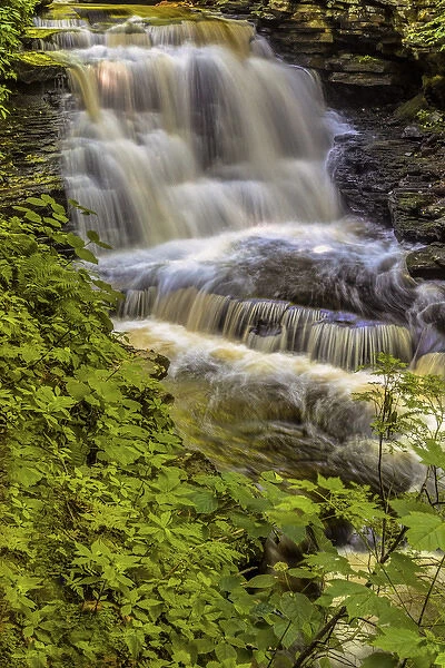 USA, Pennsylvania, Benton, Ricketts Glen State Park. Delaware Falls cascade. Credit as