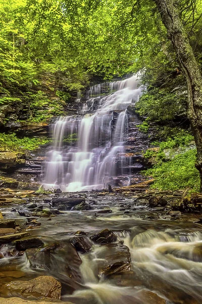 USA, Pennsylvania, Benton, Ricketts Glen State Park. Mohican Falls cascade. Credit as
