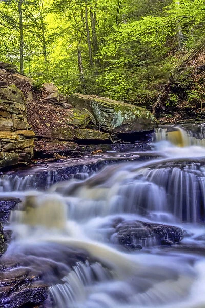 USA, Pennsylvania, Benton, Ricketts Glen State Park. Seneca Falls cascade. Credit as