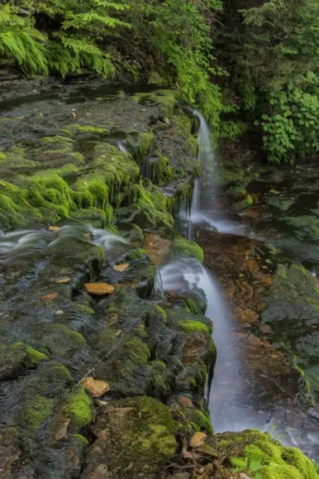 Framed Print : USA, Pennsylvania, Benton, Ricketts Glen State Park. Flowing stream from waterfall