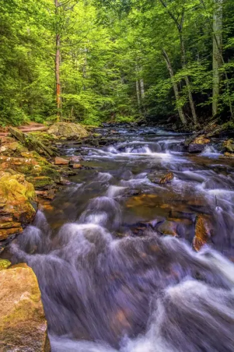 Framed Print : USA, Pennsylvania, Benton, Ricketts Glen State Park. Kitchen Creek cascade. Credit as Framed Print : USA, Pennsylvania, Benton, Ricketts Glen State Park. Kitchen Creek cascade. Credit as