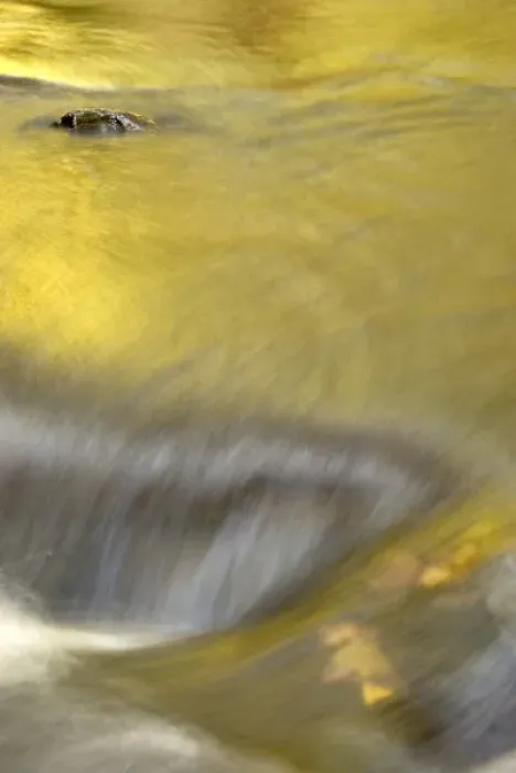 Framed Print : USA, Pennsylvania, Delaware Water Gap, Dingmans Falls. Abstract of golden autumn