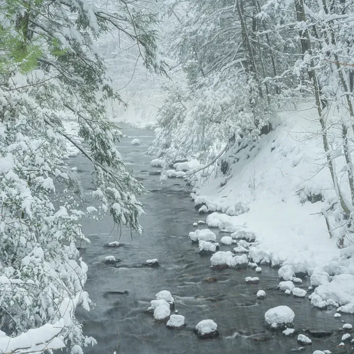 Framed Print : USA, Pennsylvania, Delaware Water Gap. Stream and winter forest. ©Jay O'Brien / Jaynes Gallery / DanitaDelimont.com Framed Print : USA, Pennsylvania, Delaware Water Gap. Stream and winter forest. ©Jay O'Brien / Jaynes Gallery / DanitaDelimont.com