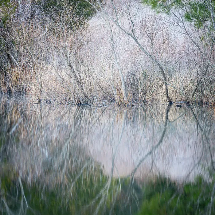 Framed Print : USA, Pennsylvania, Delaware Water Gap. Frosty winter trees reflect in water. ©Jay O'Brien  /  Jaynes Gallery  /  DanitaDelimont.com