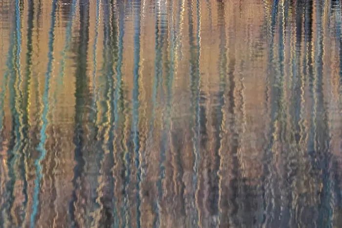 Framed Print : USA, Pennsylvania, Delaware Water Gap Recreational Area. Tree ripple reflections on lake