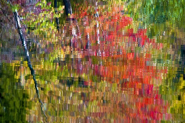 USA, Pennsylvania, Delaware Watergap National Recreational Area. Autumn reflection in water