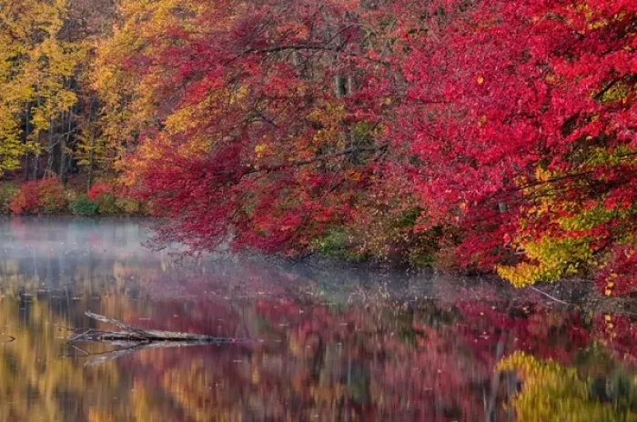 Framed Print : USA, Pennsylvania, Dingmans Ferry, Hidden Lake. Trees in autumn color reflect in lake