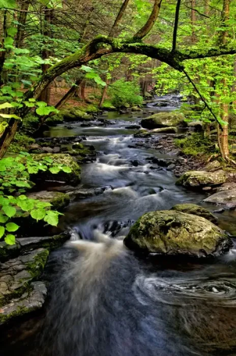 Framed Print : USA, Pennsylvania, Dingmans Ferry, Childs Park Dingmans Creek. Creek flows through forest