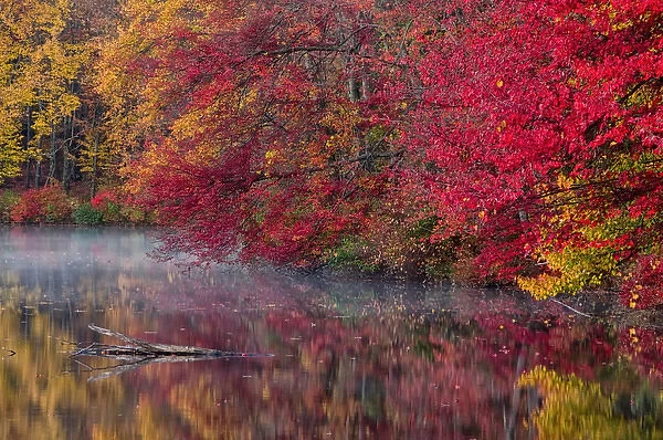 USA, Pennsylvania, Dingmans Ferry, Hidden Lake. Trees in autumn color reflect in lake
