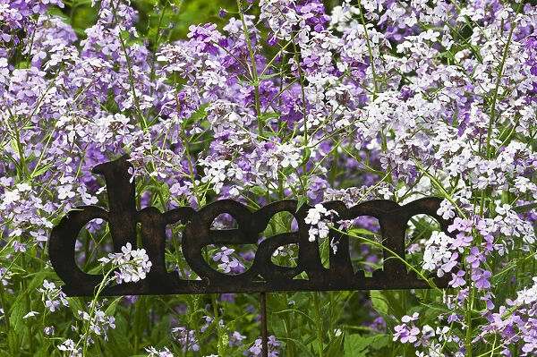 USA, Pennsylvania. Metal sign of word dream amid blooming phlox in garden. Credit as