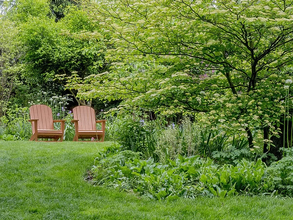 USA, Pennsylvania. A pair of Adirondack chairs in a garden