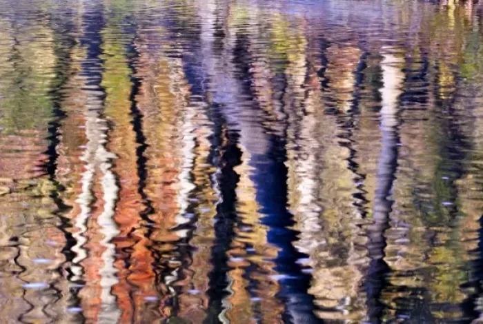 Framed Print : USA, Pennsylvania, Philadelphia. Autumn tree reflections on Pennypack Creek