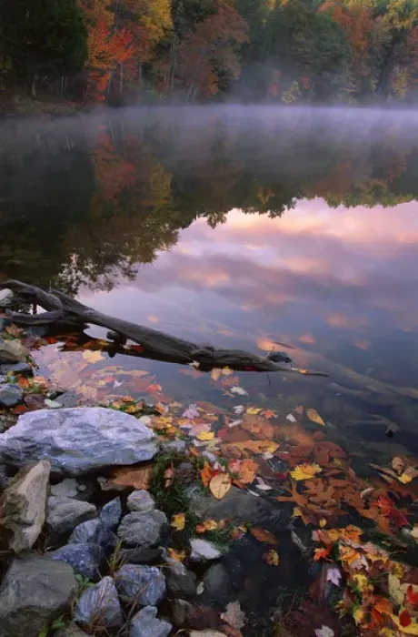 Framed Print : USA, Pennsylvania, Pocono Mountains. Autumn sunrise on lake Framed Print : USA, Pennsylvania, Pocono Mountains. Autumn sunrise on lake