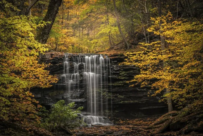 Framed Print : USA, Pennsylvania, Ricketts Glen State Park. Autumn forest Framed Print : USA, Pennsylvania, Ricketts Glen State Park. Autumn forest