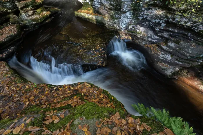 Framed Print : USA, Pennsylvania. Ricketts Glen State Park, Adams Falls is one of 22 named waterfalls in this park Framed Print : USA, Pennsylvania. Ricketts Glen State Park, Adams Falls is one of 22 named waterfalls in this park