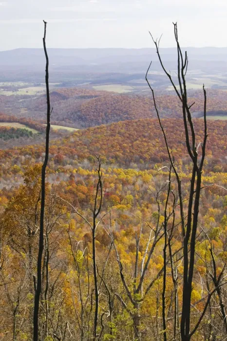 Framed Print : USA-Pennsylvania-Shellsburg: View of the Allegheny Mountains from Mt. Ararat (el