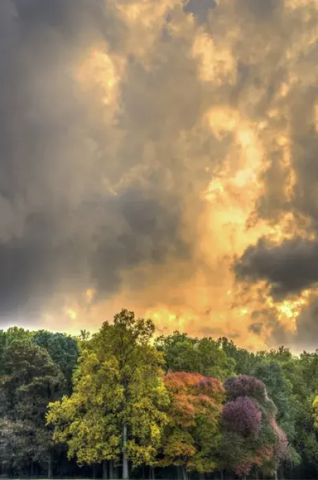 Framed Print : USA, Pennsylvania, Valley Forge National Park. Stormy clouds over forest at sunrise