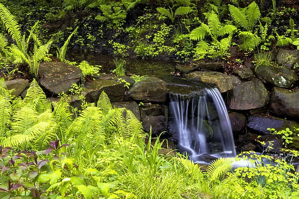 USA, Pennsylvania, Wayne, Chanticleer Garden. Creek waterfall in spring garden. Credit as