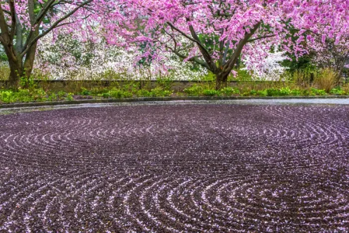 Framed Print : USA, Pennsylvania, Wayne, Chanticleer Garden. Gravel patterns and spring garden. Credit as Framed Print : USA, Pennsylvania, Wayne, Chanticleer Garden. Gravel patterns and spring garden. Credit as