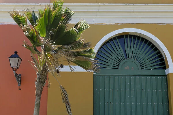 USA, Puerto Rico, San Juan. Palm and facade of Old San Juan, Puerto Rico