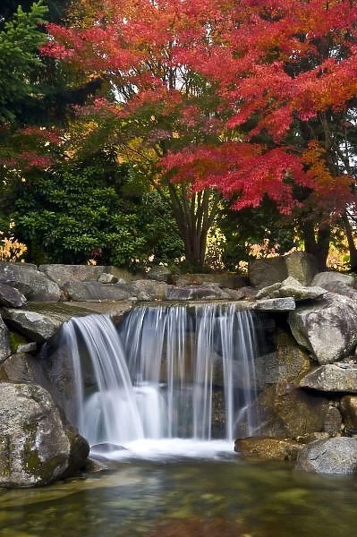 USA, Redmond, Washington. Fall color in a park