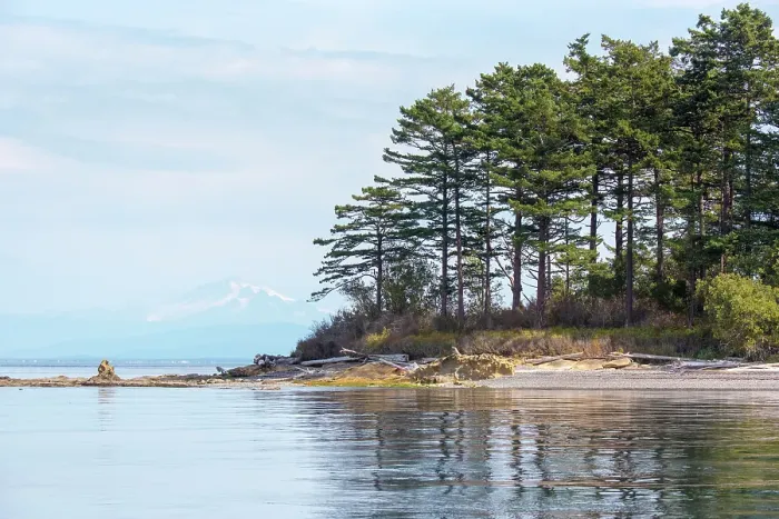 Framed Print : USA, San Juan Islands, Washington State. Patos Island, Mount Baker, Salish Sea Framed Print : USA, San Juan Islands, Washington State. Patos Island, Mount Baker, Salish Sea