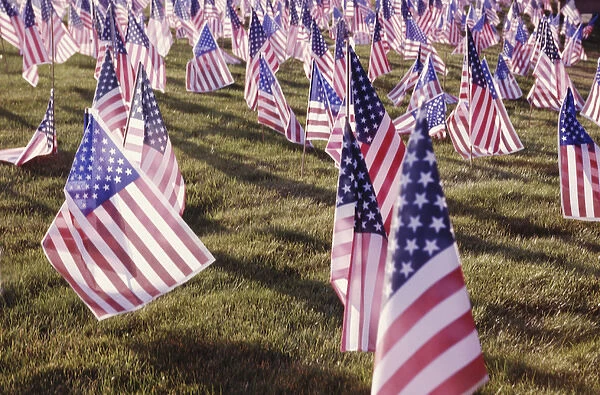 USA, Sedona, Arizona, American flags on display for teh Fourth of July celebration