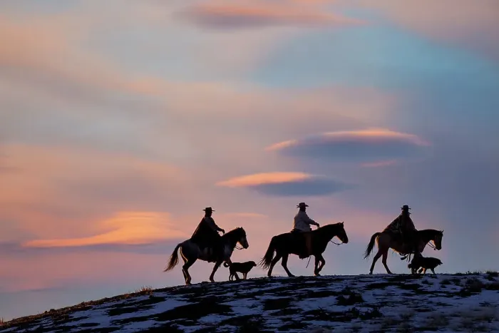 Framed Print : USA, Shell, Wyoming. Hideout Ranch cowboys and cowgirls silhouetted against sunset riding on ridgeline. (PR, MR) Framed Print : USA, Shell, Wyoming. Hideout Ranch cowboys and cowgirls silhouetted against sunset riding on ridgeline. (PR, MR)