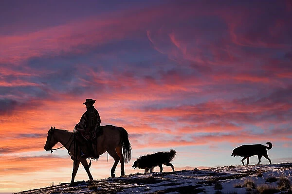 USA, Shell, Wyoming. Hideout Ranch cowgirl and her two dogs horseback riding at sunset. (PR, MR)