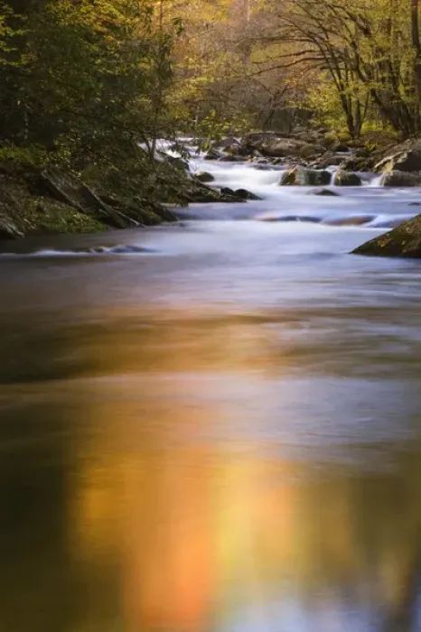 Framed Print : USA Smoky Mountain NP Tennessee refections of fall foliage in creek