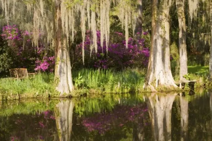 Framed Print : USA, South Carolina