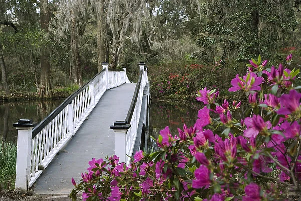 USA, South Carolina, Charleston. Bridge on the Magnolia Plantation. Credit as: Dennis